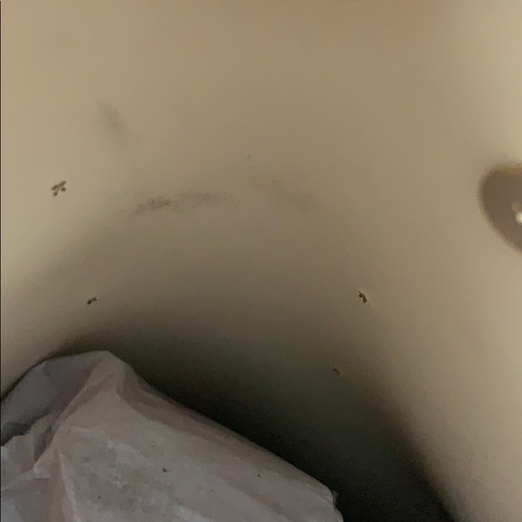 Dune (1) - Picture 8 of 8